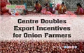 Centre Doubles Export Incentives for Onion Farmers