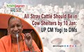 All Stray Cattle Should Be in Cow Shelters by 10 Jan: UP CM Yogi to DMs
