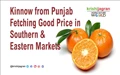 Kinnow from Punjab Fetching Good Price in Southern & Eastern Markets