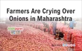 Farmers Are Crying Over Onions in Maharashtra