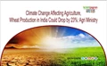 Climate Change Affecting Agriculture, Wheat Production in India Could Drop by 23%: Agri Ministry