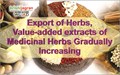 Export of Herbs, Value-added extracts of Medicinal Herbs Gradually Increasing
