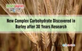 New Complex Carbohydrate Discovered in Barley after 30 Years Research