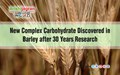 New Complex Carbohydrate Discovered in Barley after 30 Years Research