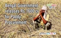 Bengal Government releases Rs.1600 cr for Paddy Procurement