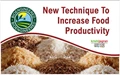 Bioengineered Rice Increases Grain Yields Upto 27%