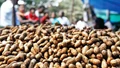 Gujarat Procures 3 lakh Tonnes of Groundnut via PSS