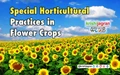 Special Horticultural Practices in Flower Crops