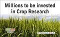 Canada Government to invest $39.3 million in Crop Research