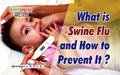 What is Swine Flu and How to Prevent It?