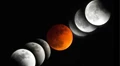 Everything You Must Know About Super Blood Wolf Moon Lunar Eclipse 2019