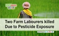 Was Pesticide the cause of Deaths of Two Farm Labourers in Kerala?