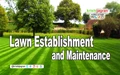 Lawn Establishment and Maintenance