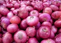 Price fall: Centre to procure 2 Lakh Tonnes Onion from MP