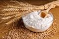 India’s Wheat Market May Gain Support On Firm Global Cues