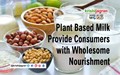 Plant Based Milk Provide Consumers with Wholesome Nourishment