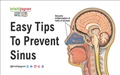 Tips to Treat & Avoid Sinus Pain and Infection