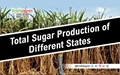 185.19 Lac tons of Sugar Produced till 31st January 2019