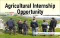 Agricultural Internship Opportunity at Organic Farms in Himachal