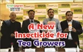 IIL Launches a New Insecticide for the Tea Growers of North-East India