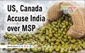India Accused of ‘Dramatic Under-reporting’ of MSP for Five Pulses at WTO