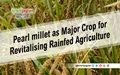 Pearl millet as Major Crop for Revitalising Rainfed Agriculture
