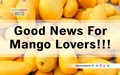 Asian & Germans Can Enjoy a New Variety of Mango from This Summer