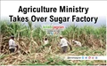 Agriculture Department to Control Sugar Factory