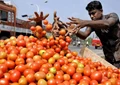 Tomato prices soured by 75%