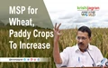 Delhi Govt. to Increase MSP for Wheat, Paddy Crops