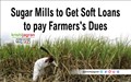 Centre Approves up to Rs 10,540 crore Soft Loan to Sugar Industry