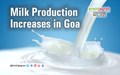 Goa Registers 22 percent Increase in Milk Production