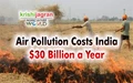 Shocking! Air Pollution Costs India $30 Billion a Year from Stubble Burning