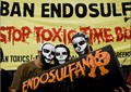 Not Lichi but Endosulfan to be blamed