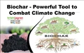 Biochar: Valuable Soil Amendment