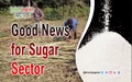 Cabinet Approves Rs 3,355 crore Interest Subsidy for Sugar Sector