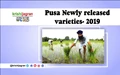 Newly Released Varieties of PUSA, 2018-19