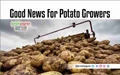 Special Arrangements Made for Farmers to Sell Surplus Potatoes