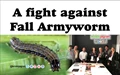 A Step against Fall Armyworm through SAFFAL by SABC