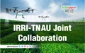 TNAU and IRRI Research Cooperation on Digital Agriculture