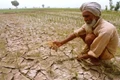 Govt initiates to reduce debt burden of farmers