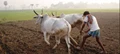 Creating a Better Life for Indian Smallholder Farmers