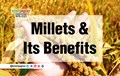 Benefits of Adding Millets to Your Diet