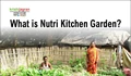 All you want to know about Nutri Kitchen Garden
