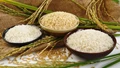 Harnessing and Sustaining rice production in India