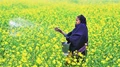 Agro-Chemical industry to see growth in India