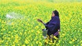 Agro-Chemical industry to see growth in India