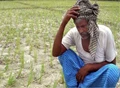 CAG Report: 67% Farmers are unaware of Govt schemes