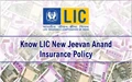 LIC New Jeevan Anand Insurance Policy: Know Premium, Sum Assured & Other Important Details