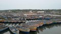 Kerala to begin five fishing harbours in capital city
